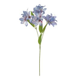 Haste Lírio X16 54cm - Azul