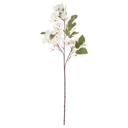 Haste Buganvilia X42 76cm - Off White