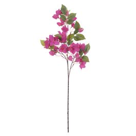 Haste Buganvilia X42 76cm - Lavanda