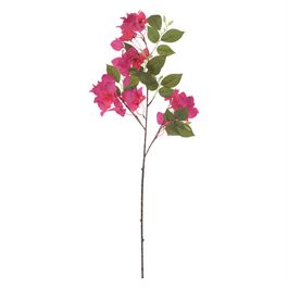 Haste Buganvilia X42 76cm - Fucsia