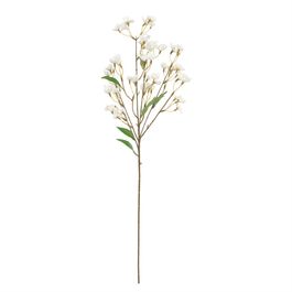 Campanula X20 73cm - Off White