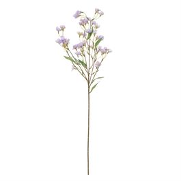 Campanula X20 73cm - Lavanda