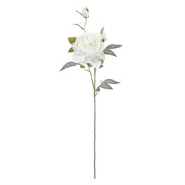 Haste Peônia X3 72cm - Off White