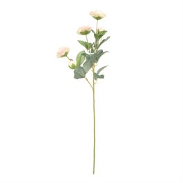 Haste Camelia X5 72cm - Branco / Rosa