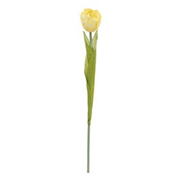 Haste Tulipa X1 40cm - Amarelo Outono