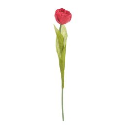 Haste Tulipa X1 40cm - Vermelho