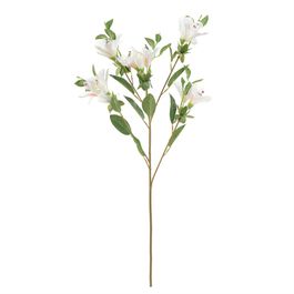 Azaleia X15 74cm - Off White