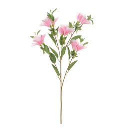 Azaleia X15 74cm - Rosa Claro