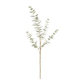 Haste Eucalipto 97cm - Verde Claro