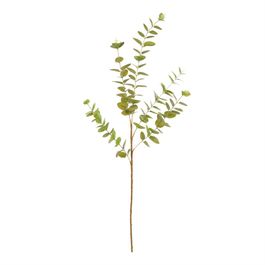 Haste Eucalipto 97cm - Verde Outono