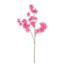 Haste Buganvilia 105cm - Fucsia