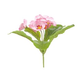 Buque Violeta X6 25cm - Rosa Claro