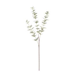 Haste Eucalipto  80cm - Verde Claro