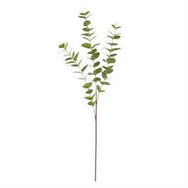 Haste Eucalipto 80cm - Verde