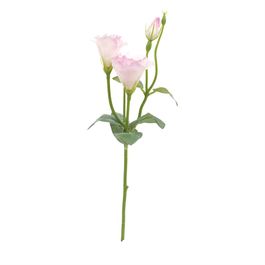 Haste Lisianthus X3 45cm - Rosa Claro