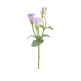Haste Lisianthus X3 45cm - Lavanda