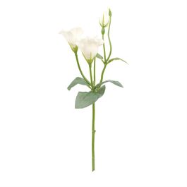 Haste Lisianthus X3 45cm - Off White