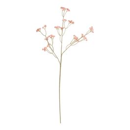 Mosquitinho X81 61cm - Champagne