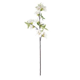 Haste Azaleia X9 92cm - Off White