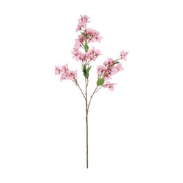 Haste Buganvilia X72 104cm - Rosa Claro