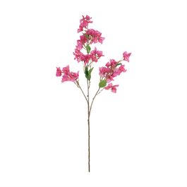 Haste Buganvilia X72 104cm - Fucsia