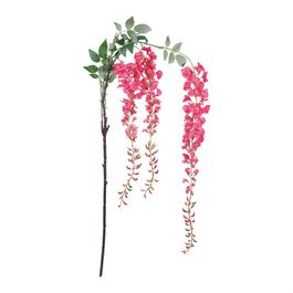 Haste Wisteria X90 160cm - Pink