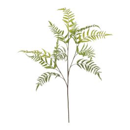 Galho Samambaia X12 100cm - Verde