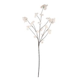 Haste Cerejeira X92 135cm - Off White