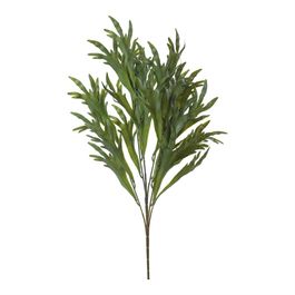 Buque Chifre De Veado 64cm - Verde