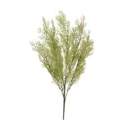 Buque Folhagem 60cm - Verde