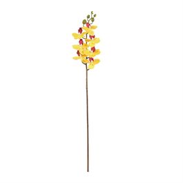 Flores Orquídea X7 63cm - Amarelo