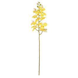 Flores Orquídea X9 95cm - Amarelo