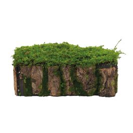 Tronco Musgo M 31cm - Verde