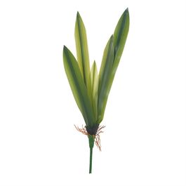 Pick Folhas E Raiz Orquídea P 42cm - Verde