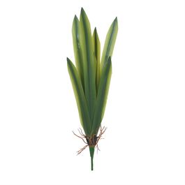 Pick Folhas E Raiz Orquídea G 52cm - Verde