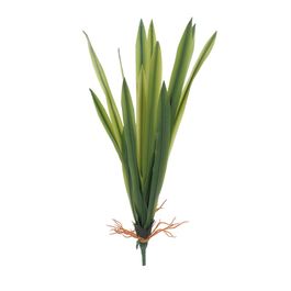 Pick Folhas E Raiz Orquídea M 47cm - Verde