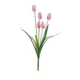 Buque Tulipas Lilas X5 50cm - Roxo