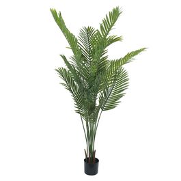 Palmeira Areca 190cm - Verde