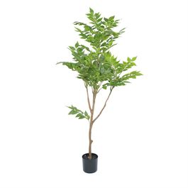 Ficus X 120cm - Verde