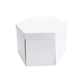 Caixa Hexagonal Liso Branco