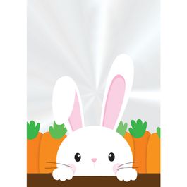 Saco Transparente Adoleta Branco / Laranja / Marrom