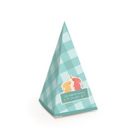 Caixa Cone Picnic