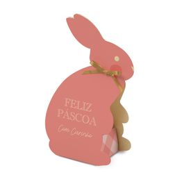 Surpresa Do Coelho Pic Nic Coral