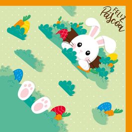 Express Coelho Na Toca Colorido