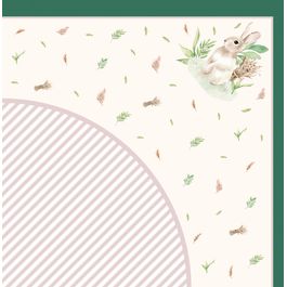 Express Natural Colorido