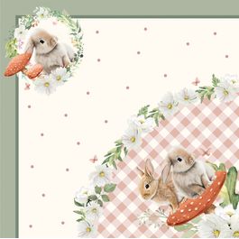 Express Breeze Colorido