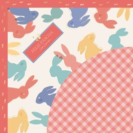 Express Picnic Coral