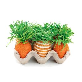 Cartela Ovos Com 6 Cenouras Laranja (Cenouras) Com 1 Un