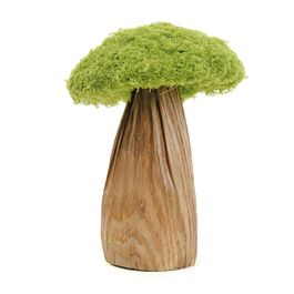 Cogumelo Decorativo Com Grama Cor Verde/Marrom (Rustic)