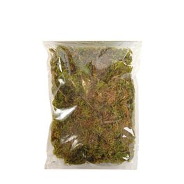 Musgo Decorativo Cor Verde (Rustic)